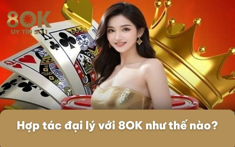 hop-tac-dai-ly-voi-8ok-nhu-the-nao