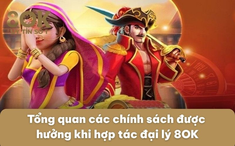 tong-quan-cac-chinh-sach-duoc-huong-khi-hop-tac-dai-ly-8ok