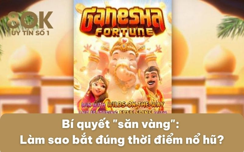 bi-quyet-san-vang-lam-sao-bat-dung-thoi-diem-no-hu