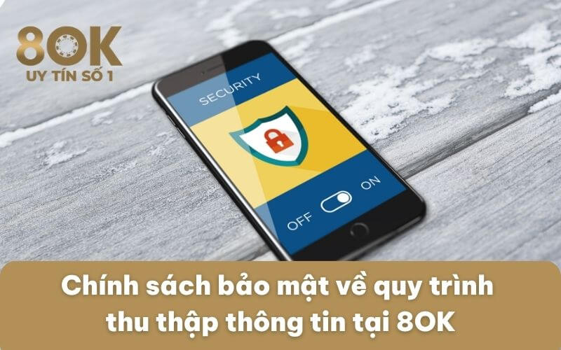 chinh-sach-bao-mat-ve-quy-trinh-thu-thap-thong-tin-tai-8ok