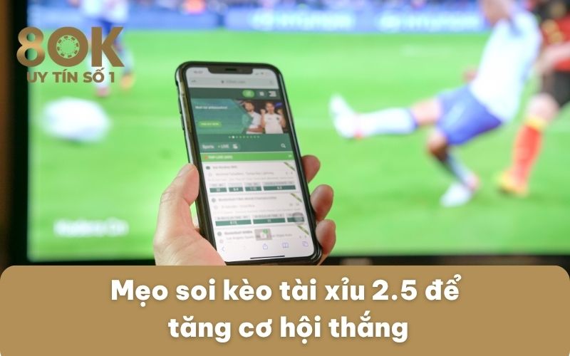 cach-tham-gia-keo-tai-xiu-2.5-tai-nha-cai-8ok-cho-nguoi-moi