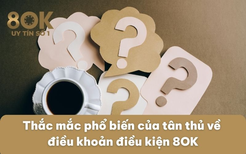thac-mac-pho-bien-cua-tan-thu-ve-dieu-khoan-dieu-kien-8ok