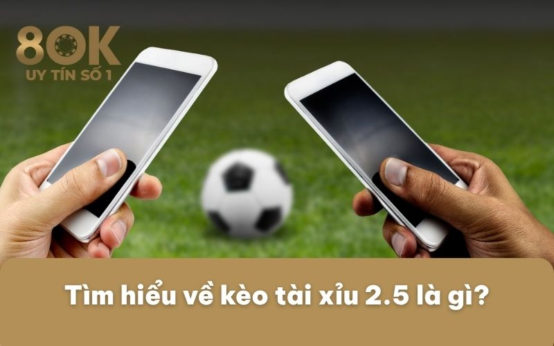 tim-hieu-ve-keo-tai-xiu-2-5-la-gi