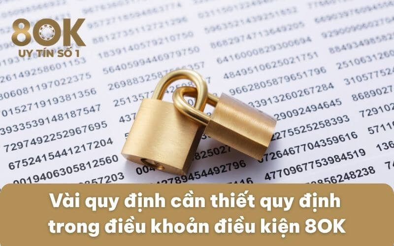 vai-quy-dinh-can-thiet-quy-dinh-trong-dieu-khoan-dieu-kien-8ok