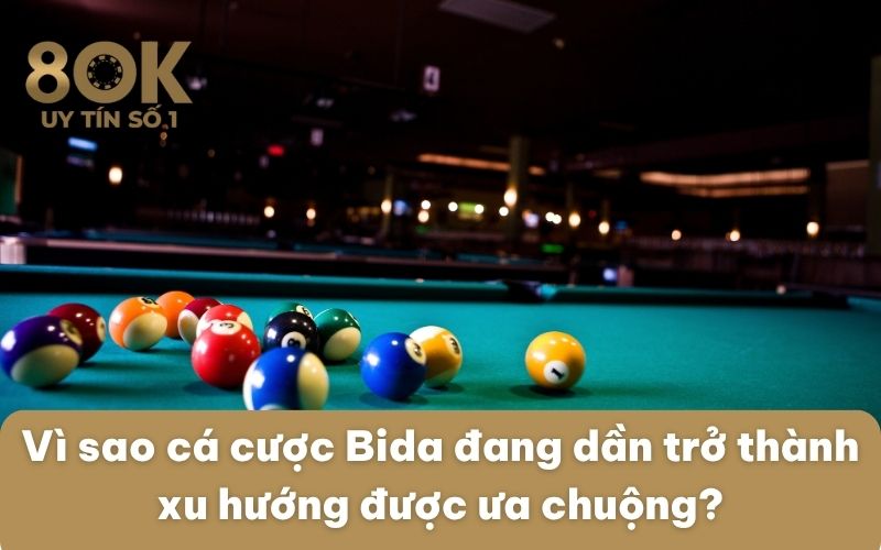 vi-sao-ca-cuoc-bida-dang-dan-tro-thanh-xu-huong-duoc-ua-chuong